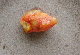 © dscn8767 © dscn8767