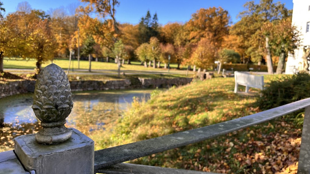 Widok na park, © Schloss Schlemmin