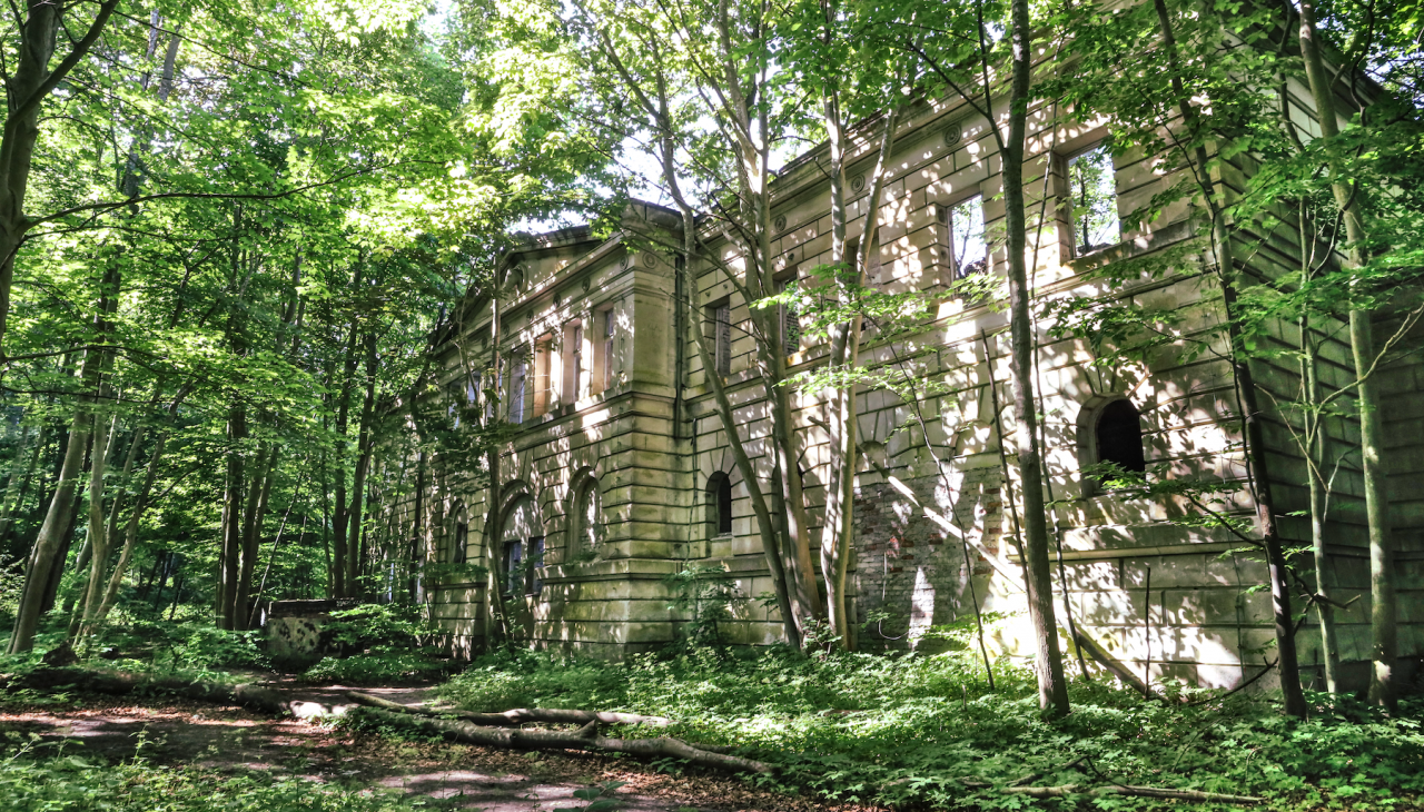 kasteel-ruïnes-wasieden_3, © TMV/Gohlke