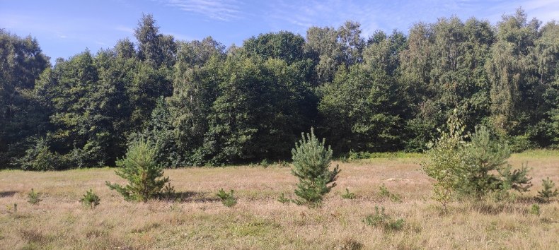 © Stiftung Umwelt- und Naturschutz MV