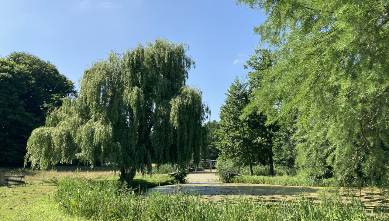 Im Schlosspark Semlow 2(c) Manuela Steimle, © Tourismusverein VR/Manuela Steimle Im Schlosspark Semlow 2(c) Manuela Steimle, © Tourismusverein VR/Manuela Steimle
