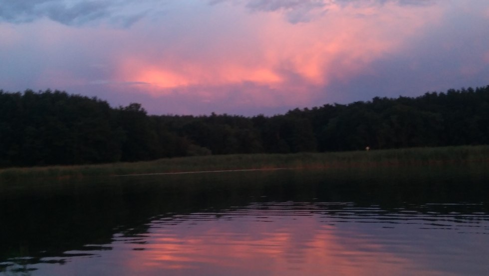 With sunset the animals of the night awake // © Sabine Görmar With sunset the animals of the night awake // © Sabine Görmar