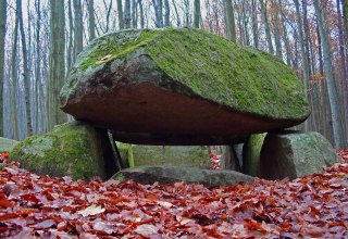 &copy; Arch&auml;o Tour R&uuml;gen