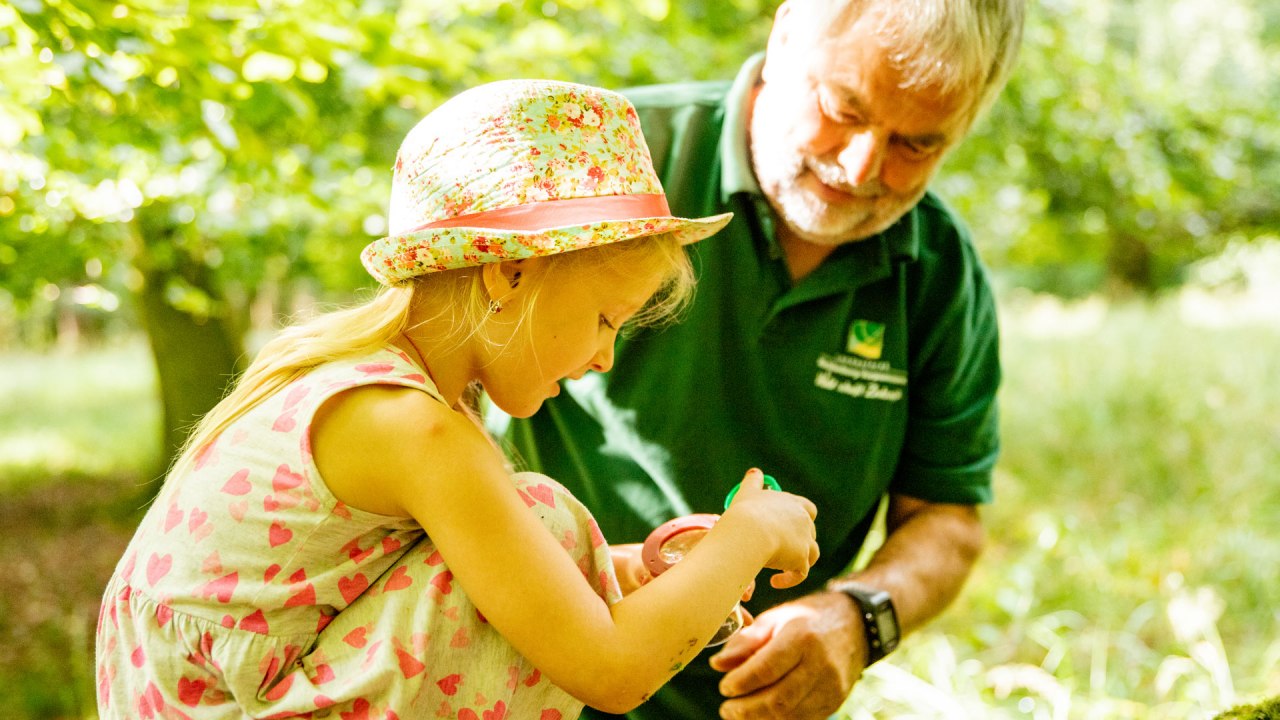 waldpaedagogik, © Landesforst MV waldpaedagogik, © Landesforst MV