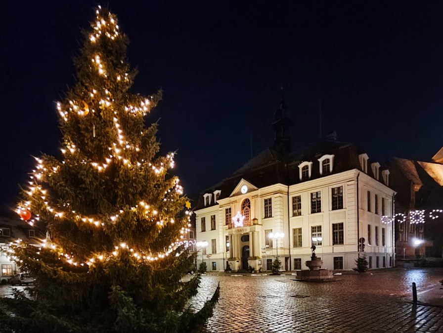 Fir_Market, © Jana Koch