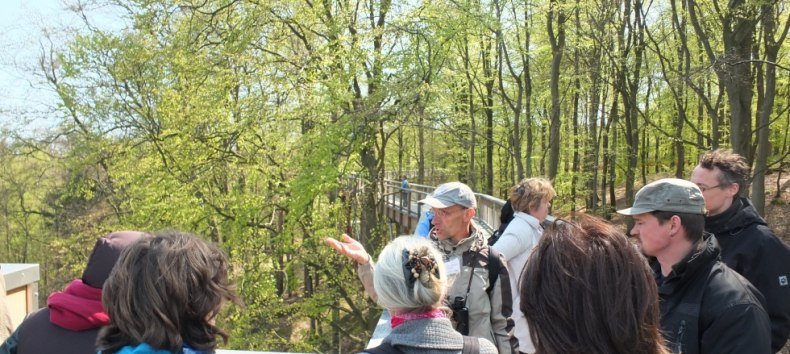 Guided tour of the treetop trail by a certified nature and landscape guide // © Martin Hagemann Guided tour of the treetop trail by a certified nature and landscape guide // © Martin Hagemann