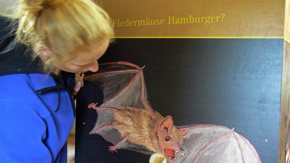 Ontdek de wereld van de vleermuizen in het informatiecentrum van het Nationaal Park Kratzeburg, © Nationalparkamt Müritz