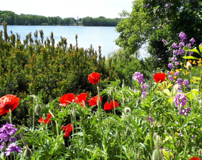 a garden by the lake // &copy; adfc-Schwerin