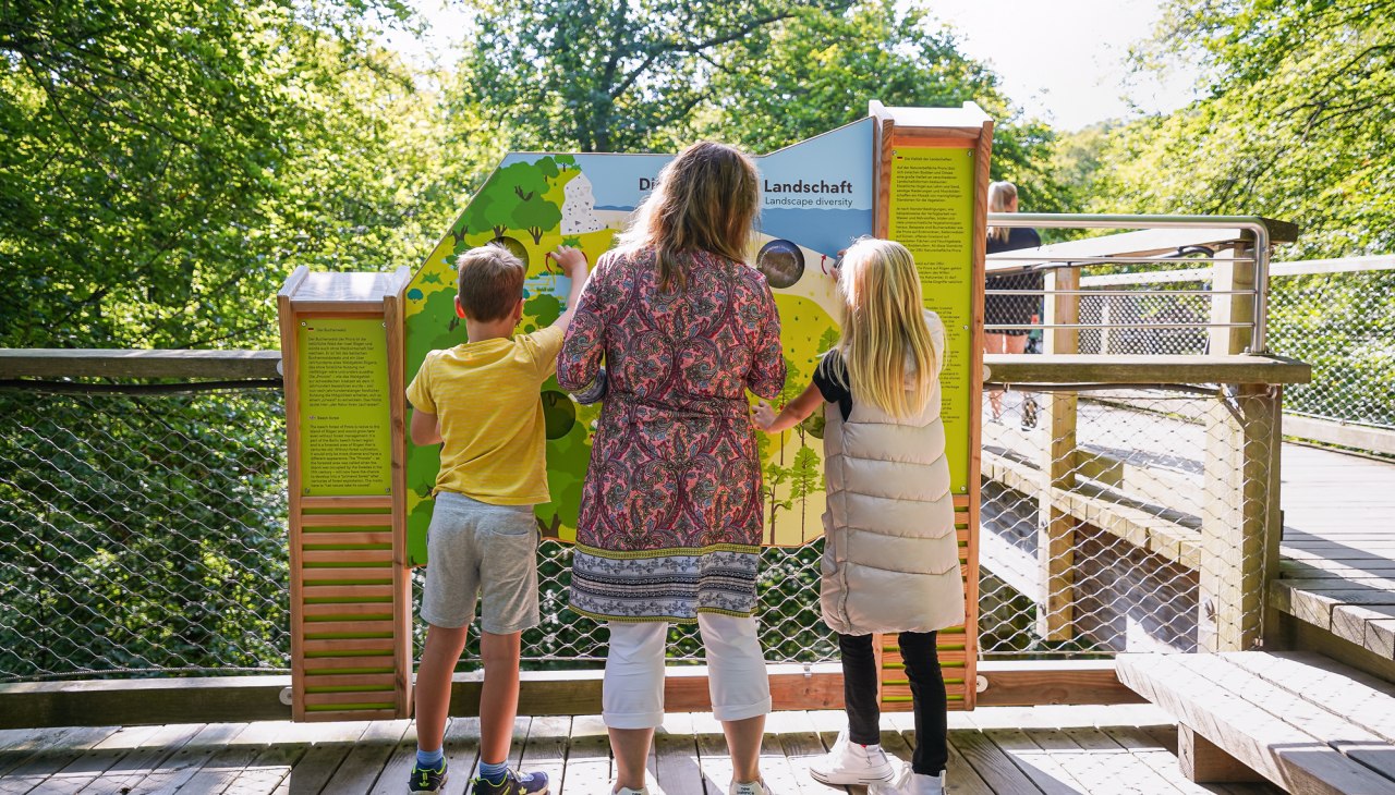 Leerstation in het natuurerfgoedcentrum R&uuml;gen, &copy; Naturerbezentrum Ruegen