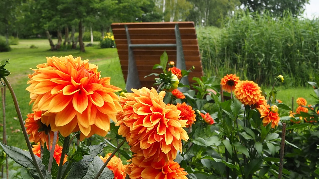 Here you can enjoy the beauty of the spa park // &copy; TVVR