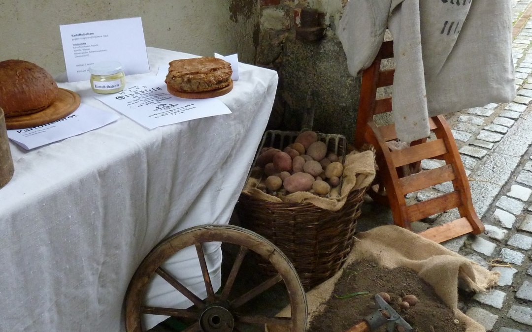 Zbiór ziemniaków, © Meike Jezmann