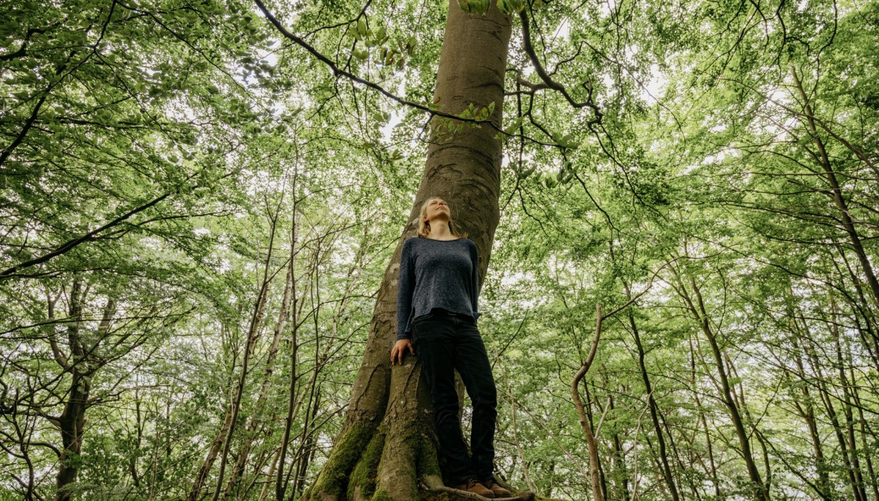 Wanderung: Die Heilkraft des Küstenwaldes, © Binzer Bucht Tourismus
