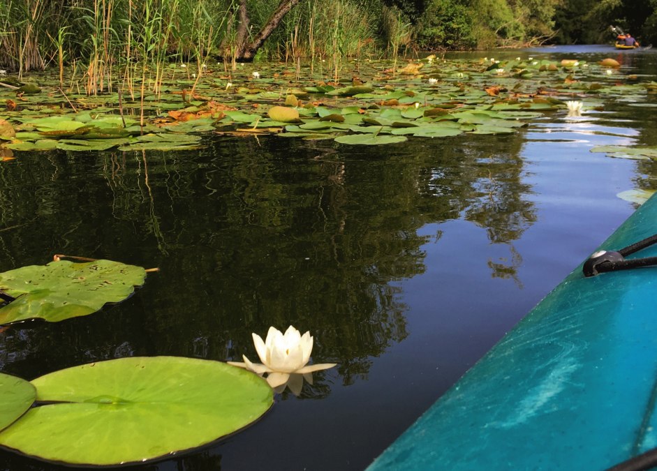 M&uuml;ritzKanu, &copy; TDG Rechlin mbH