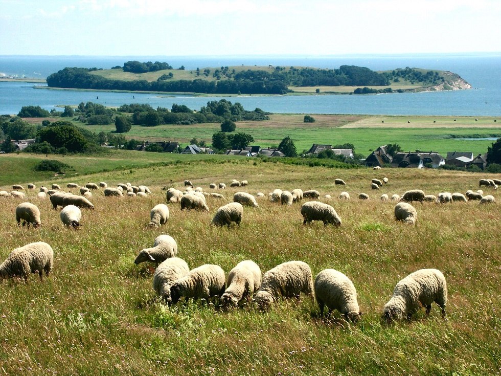 View from Bakenberg to the island of Vilm // &copy; Tourismuszentrale R&uuml;gen