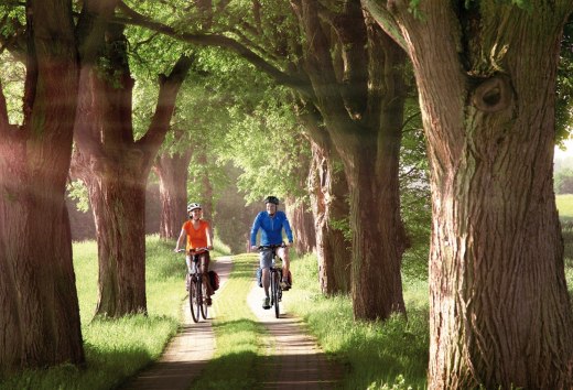 Fietsen op de laan // © MV-T/outdoor-visions.com Fietsen op de laan // © MV-T/outdoor-visions.com