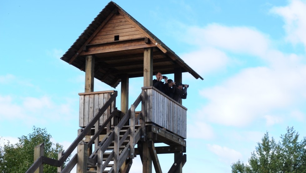 De uitkijktoren bij de Dütschower Hochbrücke is een populaire halte voor bezoekers van de Lewitz., © TMV/Foto@Andreas-Duerst.de