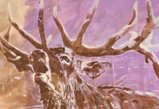 roaring stag in pink oil painting // © Müritzeum roaring stag in pink oil painting // © Müritzeum
