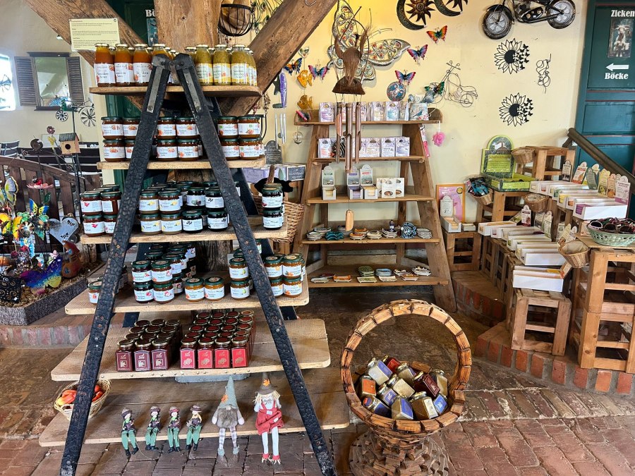 IMG-20250526-WA0019, © Katrin Berndt