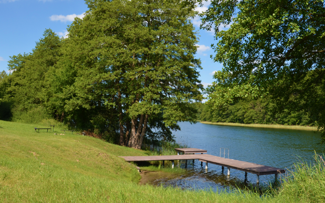 Dolgener See bathing area 1, © Martin Möller