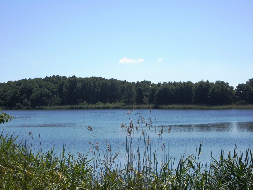 &copy; 201547.jpg