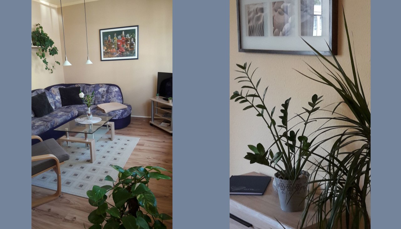 Apartament "de Brodhiering", © Orzechowski