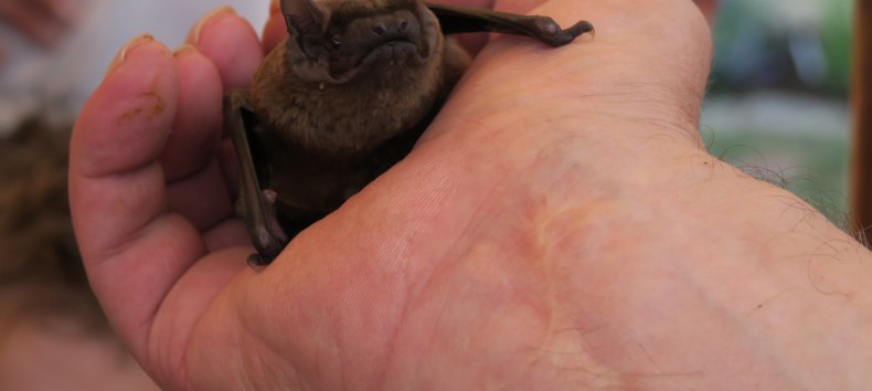 © B. Lüthi Herrmann © B. Lüthi Herrmann