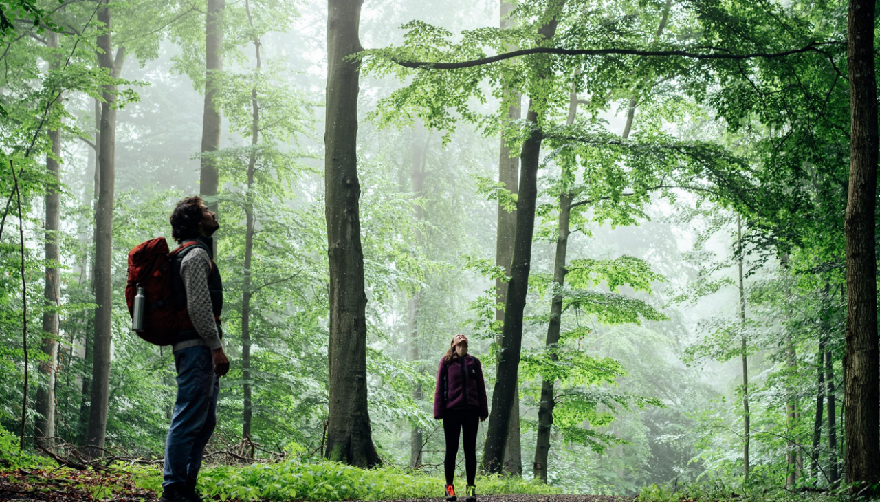 felix gänsicke tmv, © Felix Gänsicke/TMV felix gänsicke tmv, © Felix Gänsicke/TMV