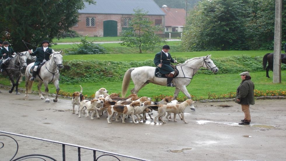 &copy; Mecklenburger Meute