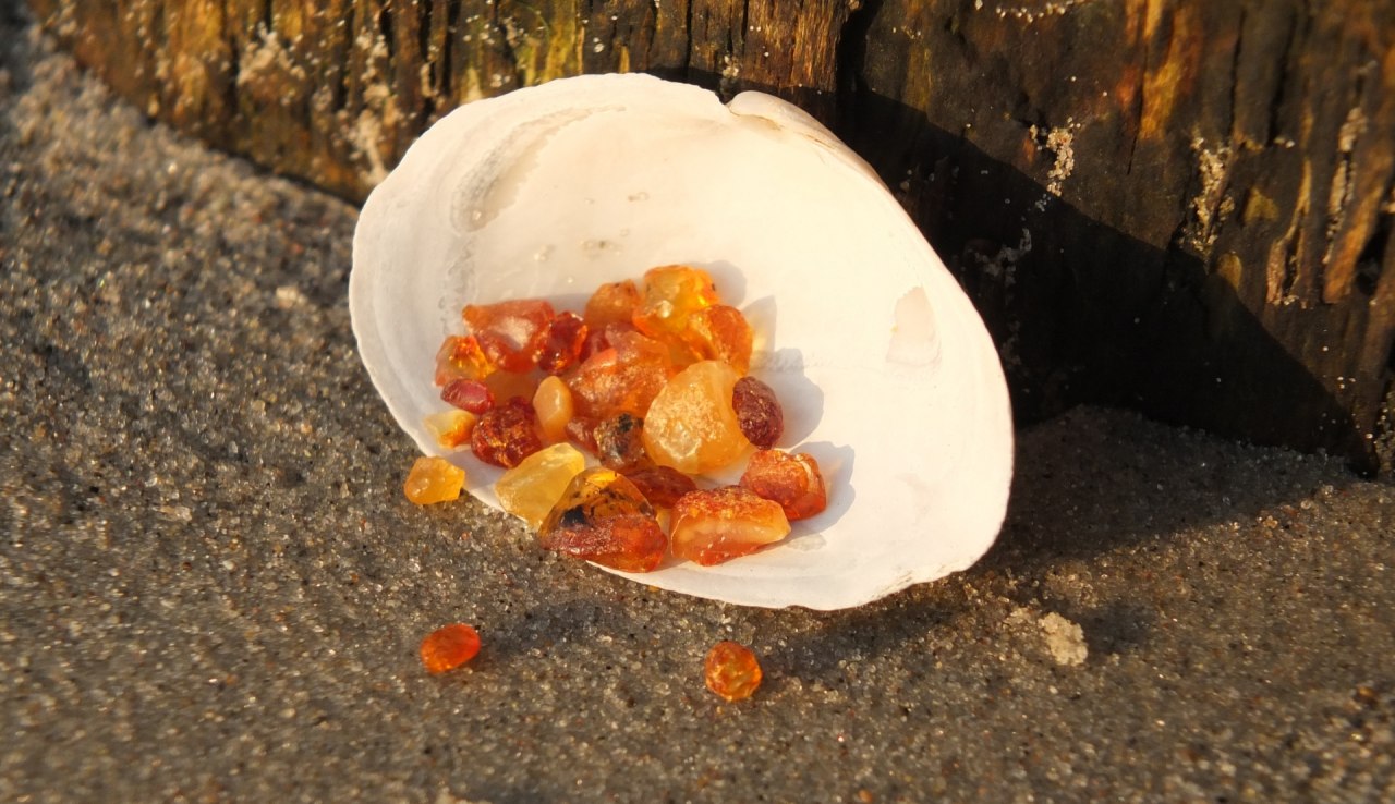 Małe bursztynowe znaleziska r&oacute;wnież cieszą serce // &copy; Martin Hagemann