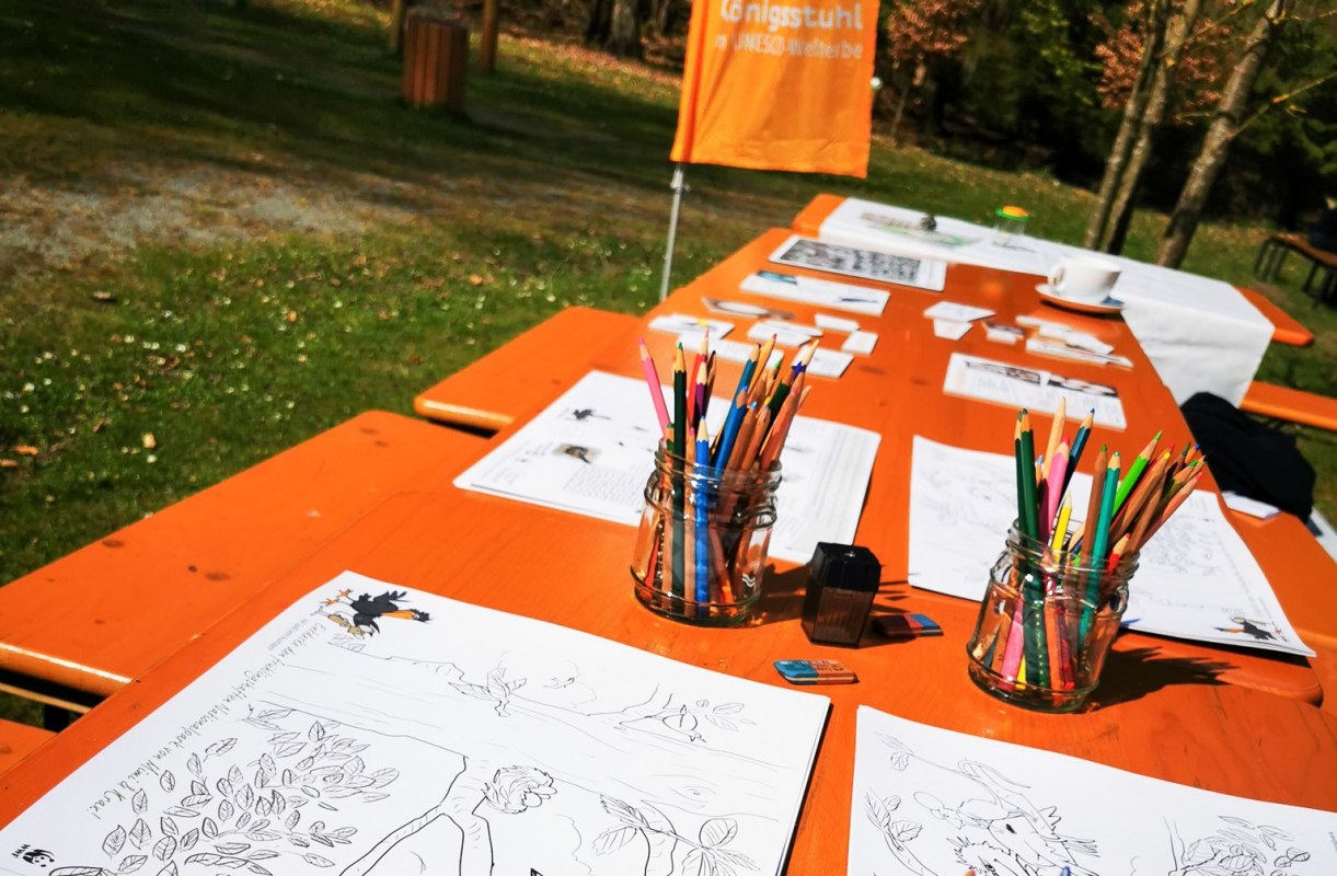 IMG_20250420_113551, &copy; Nationalpark-Zentrum K&Ouml;NIGSSTUHL