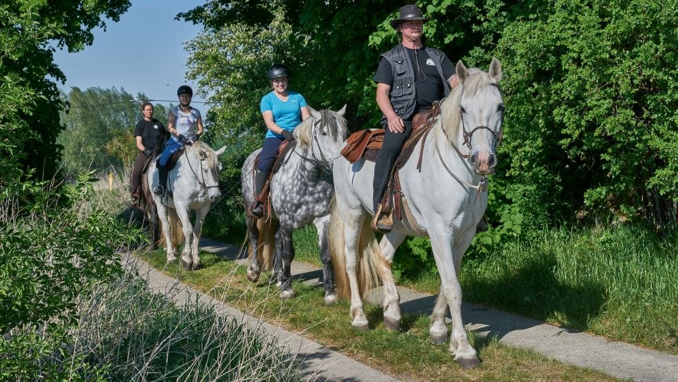 With the Herian Stud at a walk through the Müritz National Park, © Michael Schauenberg With the Herian Stud at a walk through the Müritz National Park, © Michael Schauenberg