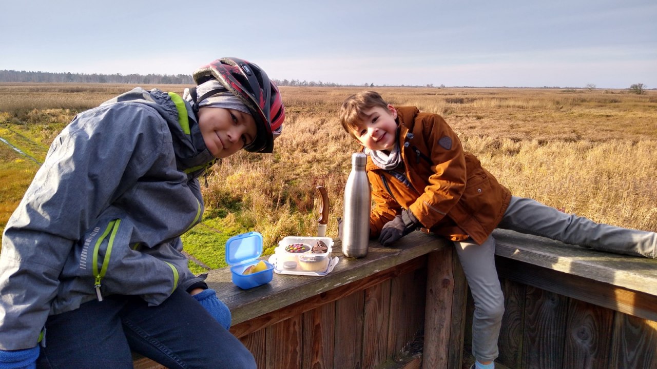 Ciekawi odkrywcy w rezerwacie przyrody H&uuml;telmoor // &copy; Olaf Sch&auml;tzchen