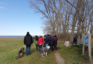 © _Ines_Wilke © _Ines_Wilke