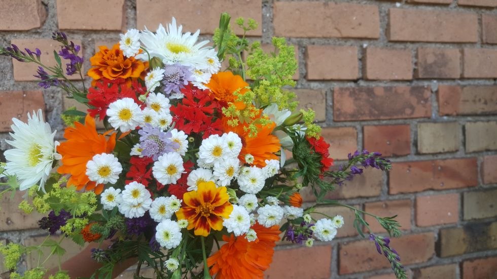 Johanna Dittrich Flowers, © Johanna Dittrich Johanna Dittrich Flowers, © Johanna Dittrich