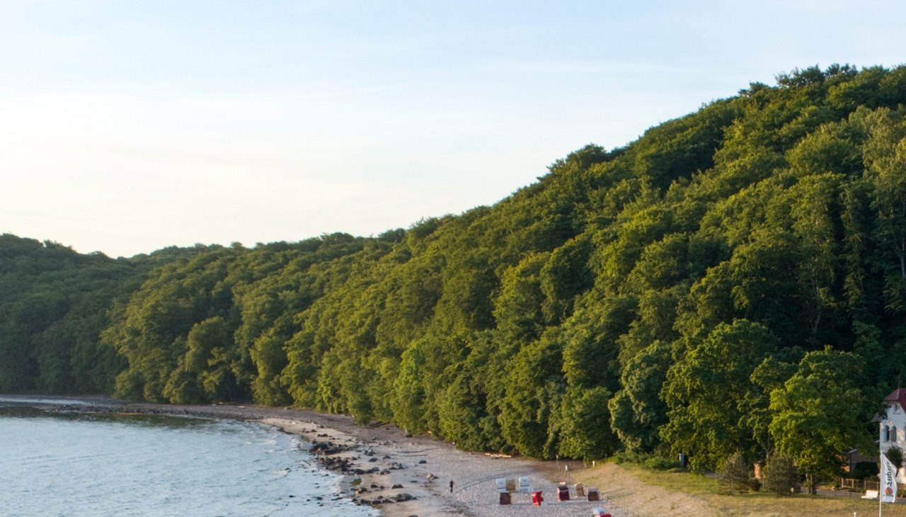 Voor kinderen: ontdek het bos en het strand met de ranger, © Binzer Bucht Tourismus Voor kinderen: ontdek het bos en het strand met de ranger, © Binzer Bucht Tourismus