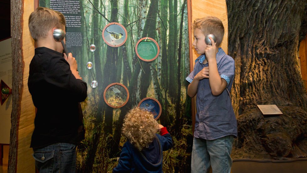 Poznaj tajemnice naszych lokalnych las&oacute;w., &copy; Mirko Runge