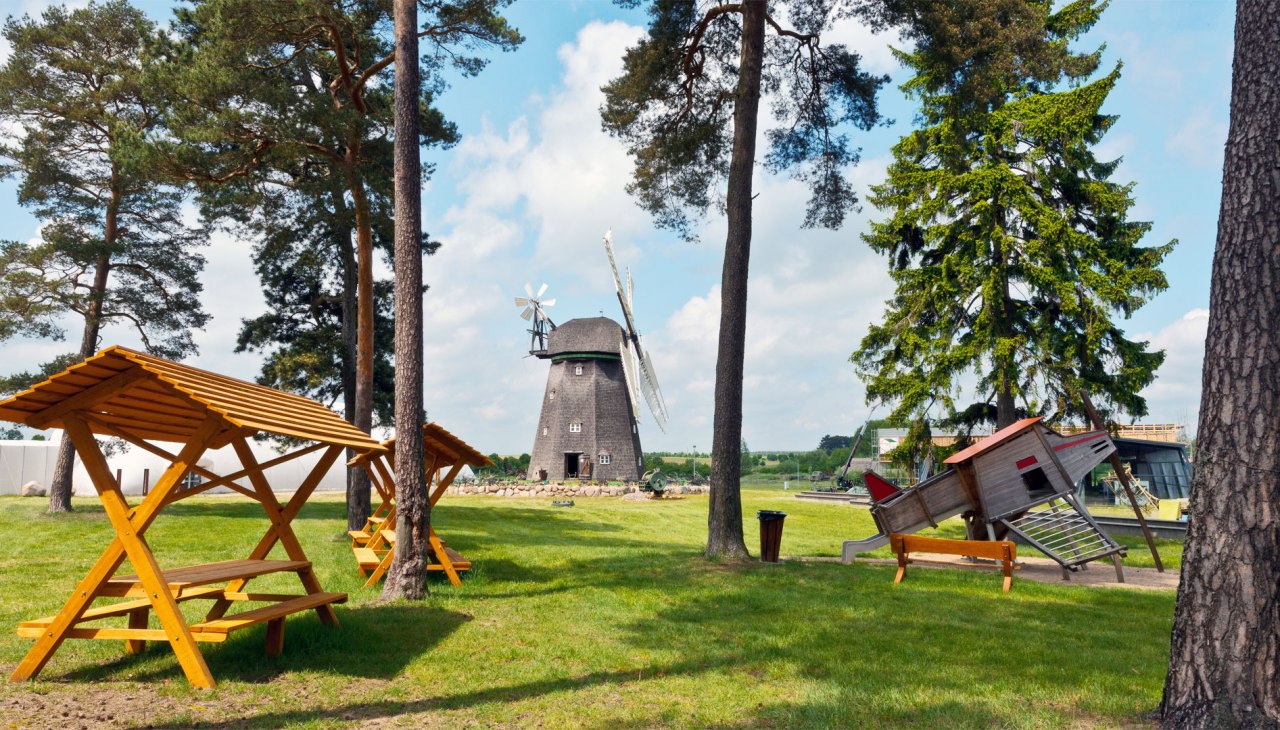 Witryna w AGRONEUM Alt Schwerin, © MuSeEn gGmbH_Rolf Beinert Witryna w AGRONEUM Alt Schwerin, © MuSeEn gGmbH_Rolf Beinert