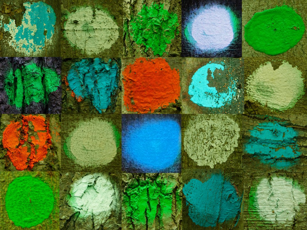 Fotomontage - 10x13,3 - GROEN // &copy; Sigrid Henschel