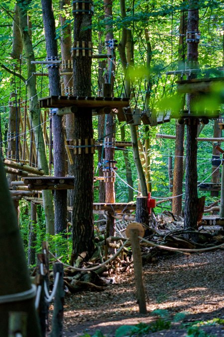 Wgląd w kursy, &copy; Tom Haagen