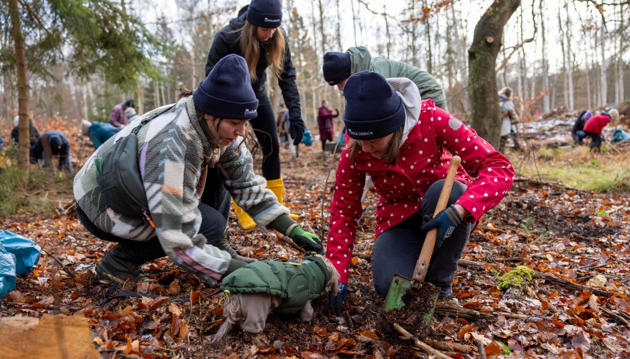 Dwunożni i czworonożni przyjaciele pilnie sadzą drzewa., © Rostocker Citylauf e.V. Dwunożni i czworonożni przyjaciele pilnie sadzą drzewa., © Rostocker Citylauf e.V.