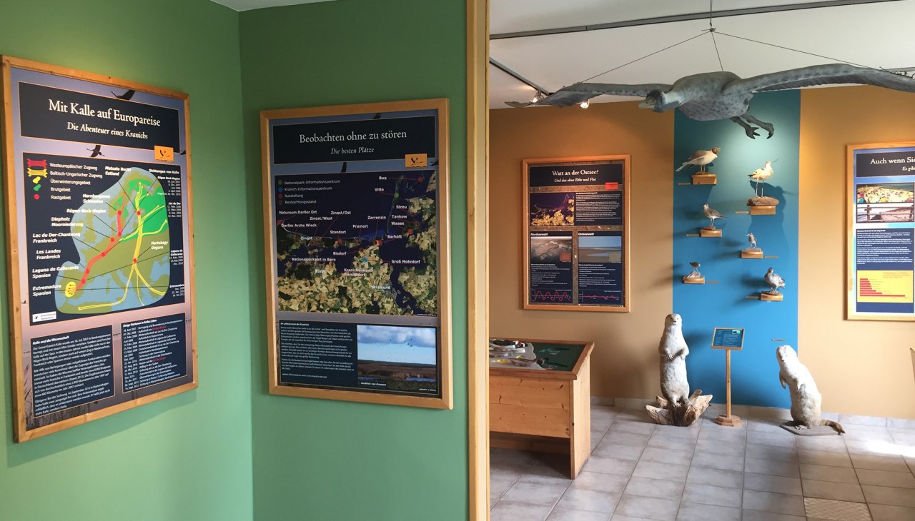 Wystawa Parku Narodowego Sundische Wiese, &copy; Nationalparkamt Vorpommern