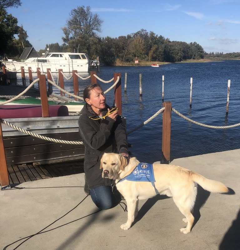 &copy; Plauer Hai-Live e. V.