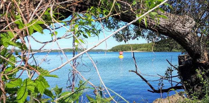 Der Schweriner Innensee // © adfc-Schwerin Der Schweriner Innensee // © adfc-Schwerin