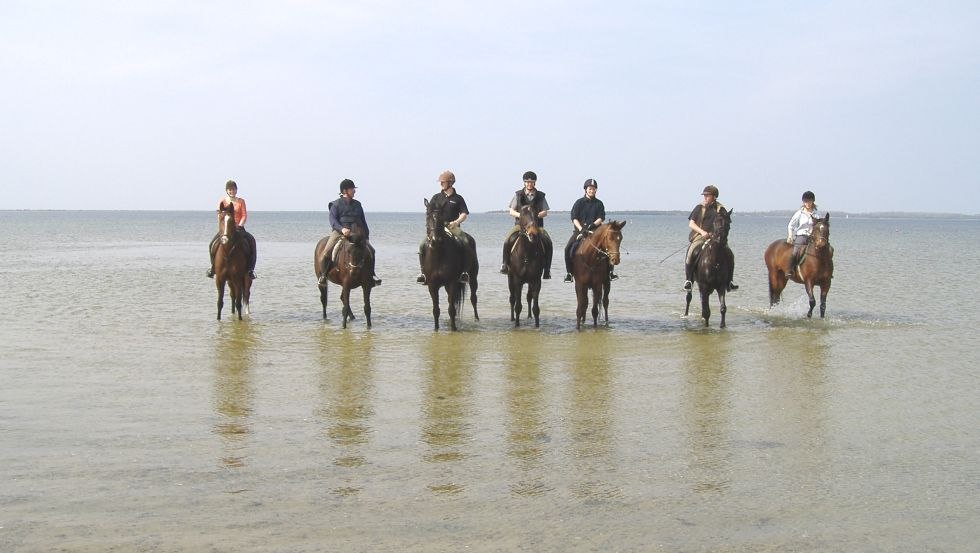 Rijden naar de waterkant met het Lischow landgoed, © Ferien- und Reiterhof Landgut Lischow/Schröder