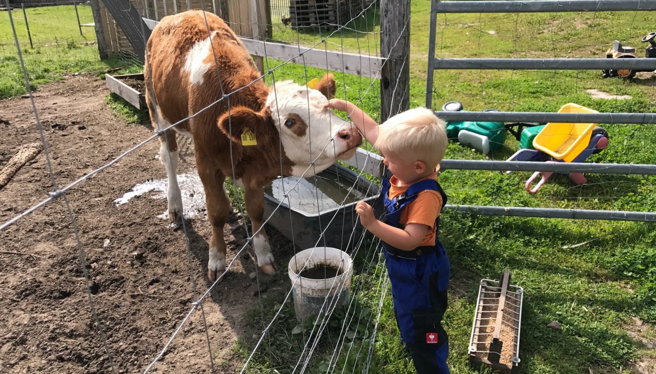 De kleine bezoekers kunnen mij en mijn vrienden bezoeken, bewonderen, aaien en natuurlijk voeren., © © Hannas Ranch