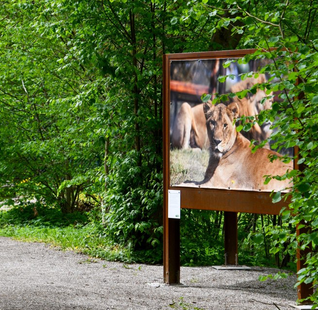 Foto-Ausstellung "Respekt, Mitgef&uuml;hl und Verst&auml;ndnis" in der Waldgalerie im B&Auml;RENWALD M&uuml;ritz // &copy; B&Auml;RENWALD M&uuml;ritz | Manuela Klier