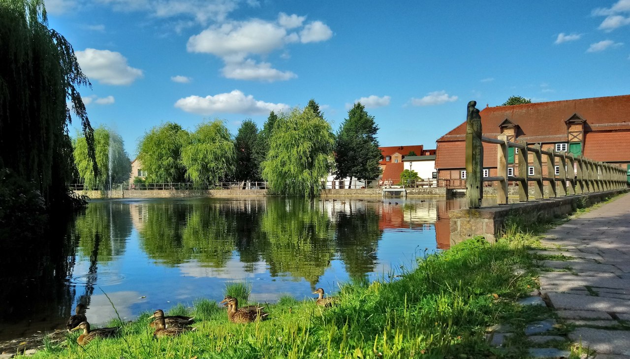 Mühlenteich und Stadtmühle Foto Koch, © Jana Koch Mühlenteich und Stadtmühle Foto Koch, © Jana Koch