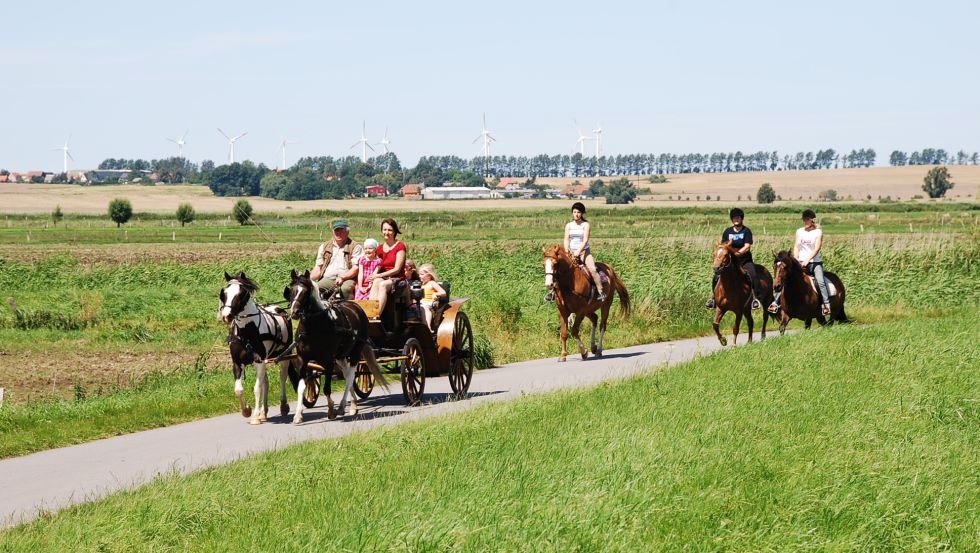 Bij Hof Thomsen in Groß Kordshagen kun je paardrijden en koetsrijden., © Hof Thomsen