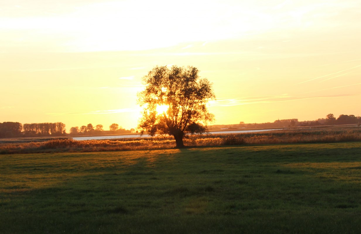 Hiking group - spotting scope - nature // © Ines Wilke Hiking group - spotting scope - nature // © Ines Wilke