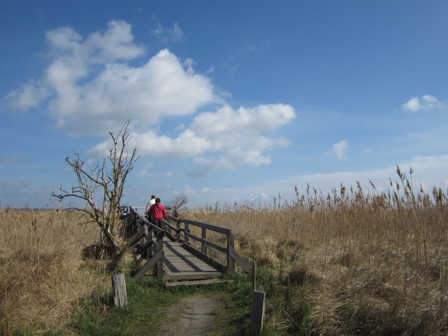 Jetty in Barhöft, © L. Zust Jetty in Barhöft, © L. Zust